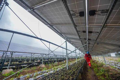 中國十三省最大光伏電站在這里！欽州康熙嶺的光伏電站能排上號了嗎？